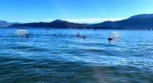 Beach Water Polo on Okanagan Lake